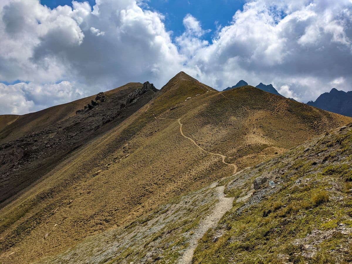 A trail climbing toward a mountain summit